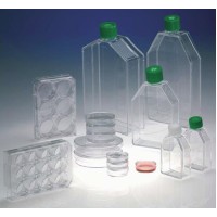 Petri dishes and flasks