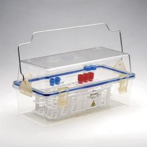 Safety container for the transport of biological samples