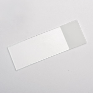 Microscope Slides